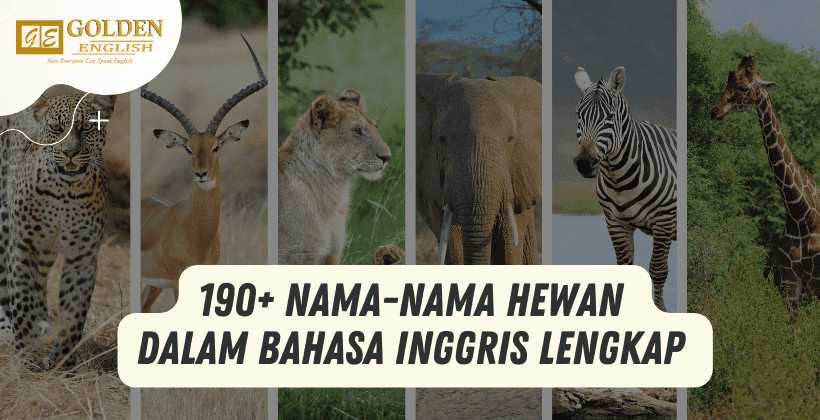 Nama-nama hewan dalam bahasa inggris