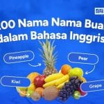 200 Nama Nama Buah dalam Bahasa Inggris dan Artinya