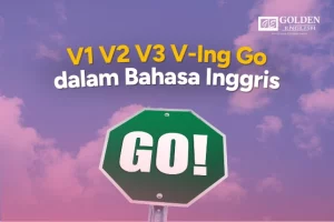 v3 go