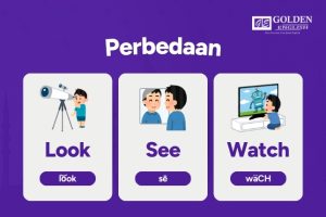 Perbedaan Look dan See