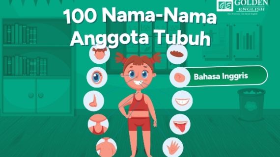 100 Nama-Nama Anggota Tubuh dalam Bahasa Inggris